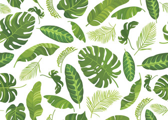 Wall Mural - Seamless pattern with different tropical green leaves. Vector illustration.