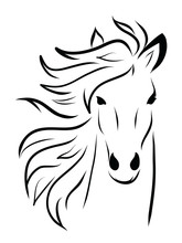 Hand Drawn Arabian Horse Head. Vector Illustration Isolated On White Background.
