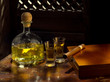 Close up view of bottle of tequila anejo and cigar on color background