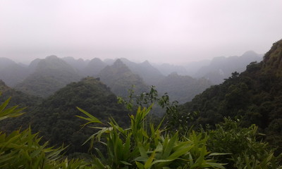 Cat Ba Island Morning