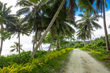 Fototapeta Las - Tropical beach on south side of Samoa Island with coconut palm trees