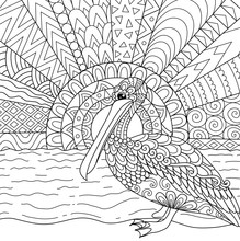 Line Art Design Of Pelican Bird In Florida State, USA For Printing On Products Like Mug, Coloring Book And So On. Stock Vector