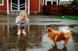 Cute little blonde girl in pink jacket, gray pants and rubber boots is jumping over a puddle on a rainy day and playing with dog