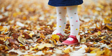 Toddler Girl In Red Shoes And Polka Dot Pantihose Standing On Fallen Leaves In A Fall Day