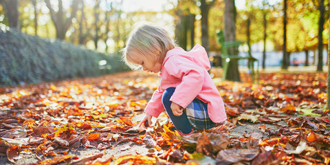 Wall Mural - Adorable toddler girl picking chestnuts in Tuileries garden in Paris, France