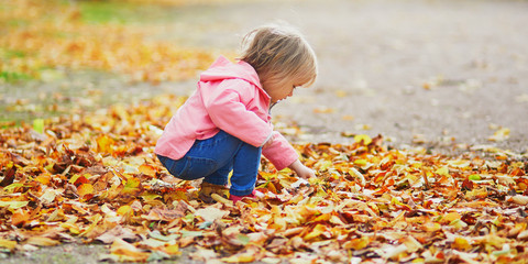 Adorable cheerful toddler girl gathering yellow autumn leaves in park