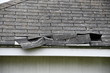 © Steve - Shingle Damage