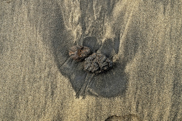 Two rough dark irregular basalt lava stones on the beach.