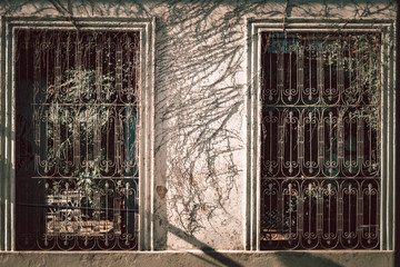 Las 2 ventanas de Colonia