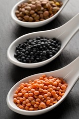 Wall Mural - Different assorted lentils mix with red, brown and black beluga lentils in white spoons on dark stone background