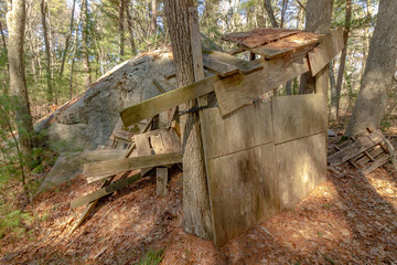 abandoned old tree fort in forest on sunny day with tree shadows