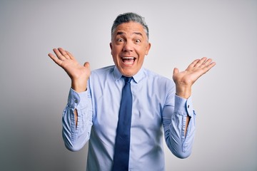 Poster - Middle age handsome grey-haired business man wearing elegant shirt and tie celebrating crazy and amazed for success with arms raised and open eyes screaming excited. Winner concept