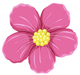Wall Mural - Pink flower on white background