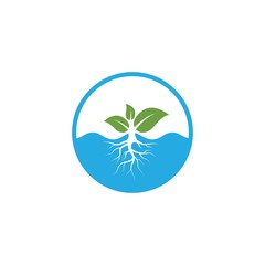 Wall Mural - hydroponics logo vector illustration design