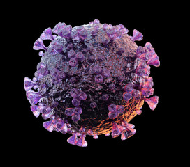 Poster - 3D rendering of the coronavirus on a microscopic level isolated on black background. Microscope close-up of the covid-19 disease. 2019-nCoV virus