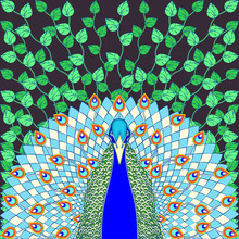 Peacock With Flowing Tail Colorful Cartoon Drawing, Graphic Print. Beautiful Green Bird With Big Open Tail With Peacock Bright Feathers, Isolated On Dark Background With Plants. Vector Illustration