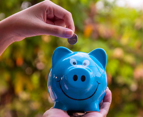 piggy save money concept, piggy bank on nature background