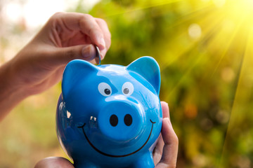 piggy save money concept, piggy bank on nature background