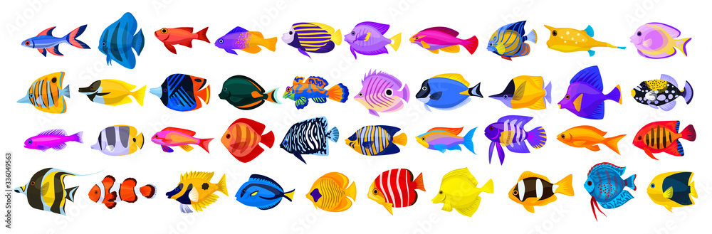 Tropical fish vector cartoon icon. Isolated cartoon icon aquarium animals .Vector illustration tropical fish on white background. - obrazy, fototapety, plakaty 