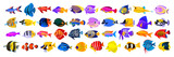 Fototapeta Fototapety na ścianę do pokoju dziecięcego - Tropical fish vector cartoon icon. Isolated cartoon icon aquarium animals .Vector illustration tropical fish on white background.