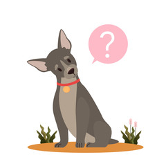Wall Mural - Cute dog with question mark. Purebread boston terrier with confusion