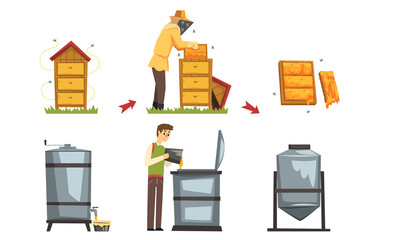 Wall Mural - Honey Production Process, Beekeeper Harvesting and Preserving Natural Product Vector Illustration