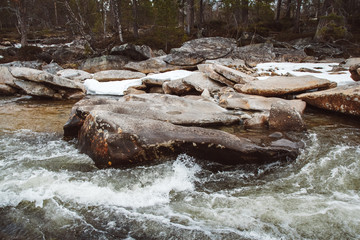 Wall Mural - mountain river on background of rocks and forest. forest river water landscape. wild river in mounta