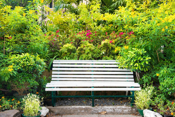 Wall Mural - Empty bench in green tropical garden with lush foliage and palm leaves