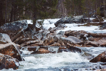 Wall Mural - Mountain river on background of rocks and forest. Forest river water landscape. Wild river in mountain forrest panorama. Place for text or advertising