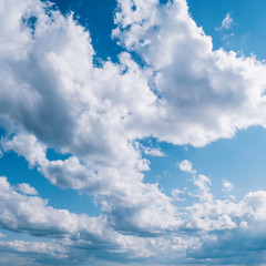 Wall Mural - cloudy blue sky