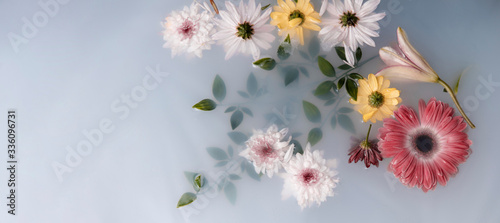 Arrangement of therapeutical flowers © FreepikCompany