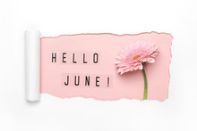 Hello June Text And Pink Gerbera Flower On Pink Background. Paper Hole With Torn Edges. Hello June Concept
