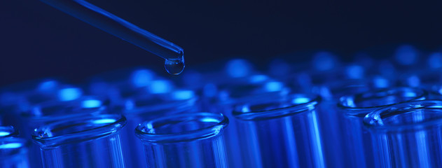 Test tube row. Concept of medical or science laboratory, liquid drop droplet with dropper in blue tone background, close up, micro photography picture.
