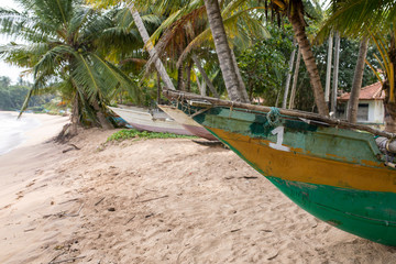 Wall Mural - Sri Lanka 