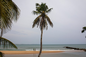 Canvas Print - Sri Lanka 