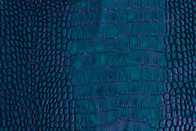 Blue Crocodile Genuine Leather As For Luxury Background.