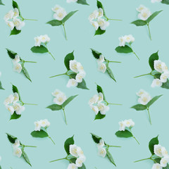 Wall Mural - Jasmine flowers  top view, flat layout, seamless pattern. Bright floral background.