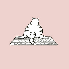 keyboard cat