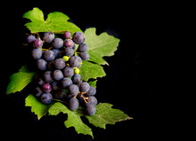 Bunch Of Fresh Grapes And Grape Leaves Isolated On Black Background