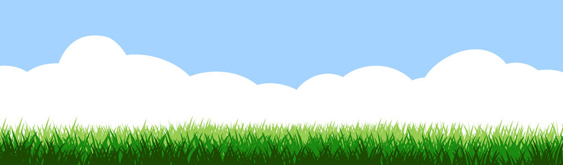 Wall Mural - grass field and blue sky white clouds. vector isolated. background. green dense juicy lawn grass. sp