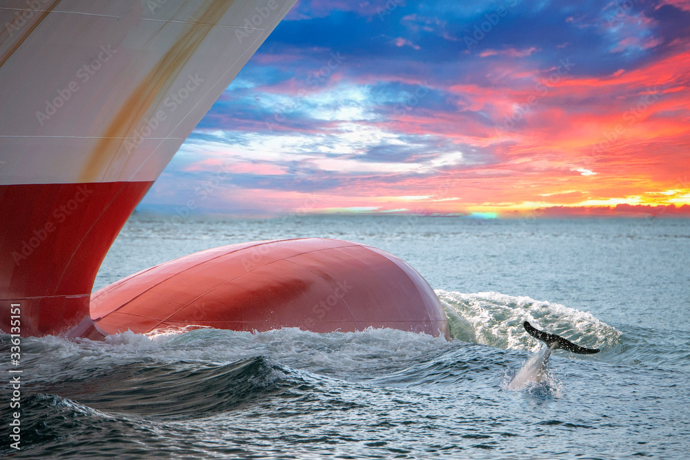 dolphin jumping over ship prow on red sky sunset Stock Photo | Adobe Stock