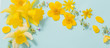 spring flowers on green background