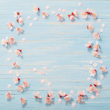 Pink Cherry Flowers On Wooden Background
