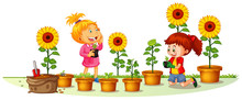 Scene With Two Girls Planting Sunflowers In The Garden