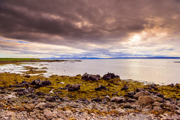 Sticker - Beautiful rugged Iceland Fjord seascape