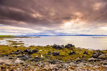 Sticker - Beautiful rugged Iceland Fjord seascape