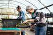 © zorandim75 - Senior and young women working in a greenhouse.