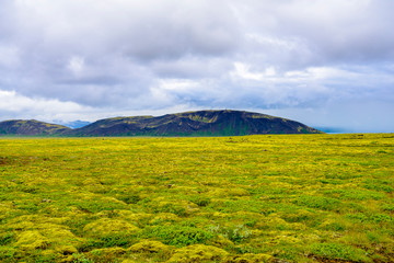 Sticker - Beautiful Iceland highlands with moss-covered volcano formations