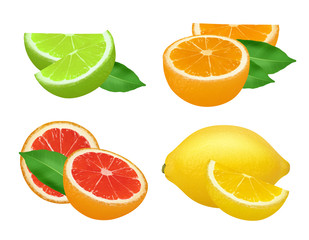 Poster - Citrus products. Lime lemon grapefruits and orange natural healthy fruits vector food realistic picture. Grapefruit and lemon, lime and citrus whole illustration