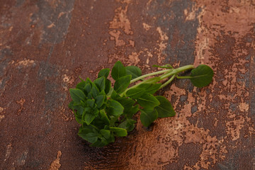 Green Basil leaves